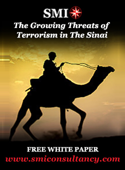 Terrorism in the Sinai - Journal of Counter Terrorism